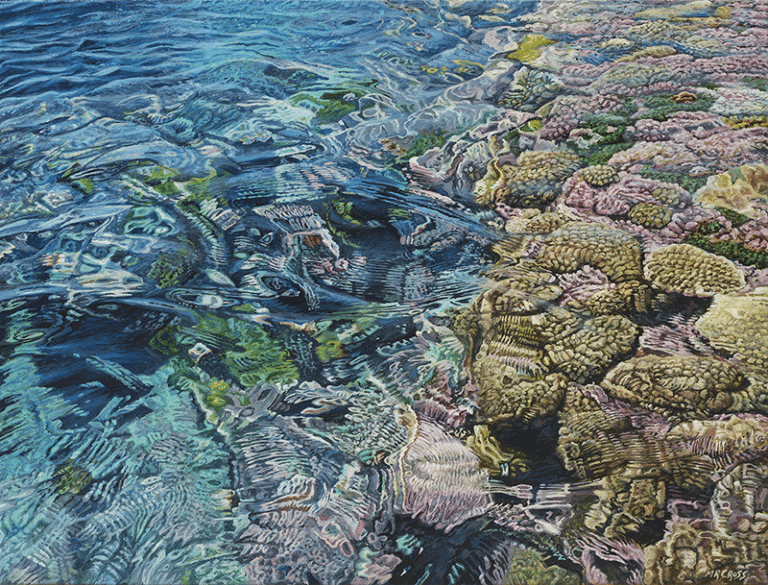 Coral-Apocalypse-4-800p